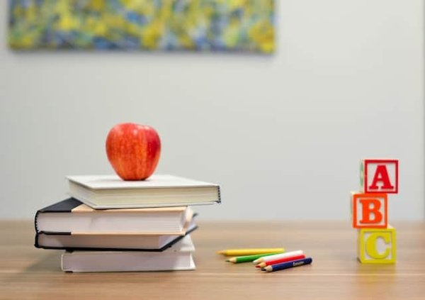 Qu'est-ce que l'enseignement spécialisé ? Comprendre ce qu'il est et ce qu'il implique
